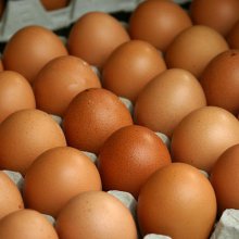 В Крым не пустили крупную партию сомнительных куриных яиц из Украины
