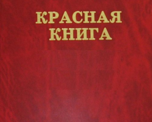 В Севастополе будет создана Красная книга города