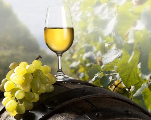 Аксенов намерены возродить былую славу виноделия Крыма