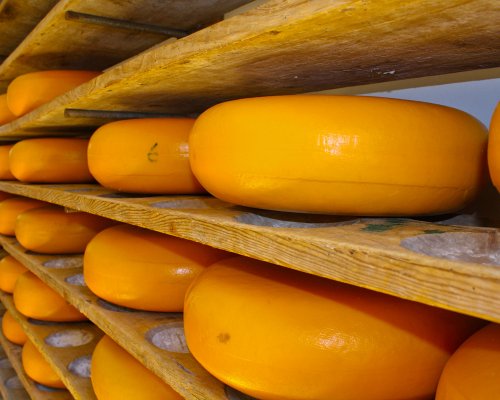 Из Крыма в Украину вернули 13,4 тонны опасного сыра
